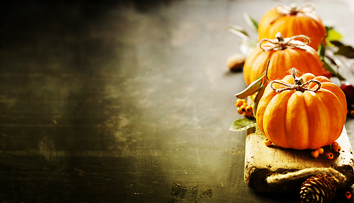 포토 JPG 해외이미지 리본 호박 실내 사람없음 농작물 가을 일렬 나무받침 카피스페이스 해외202004 해외포토 계절 농업 채소 내부 목재 공백 받침대 파일형식