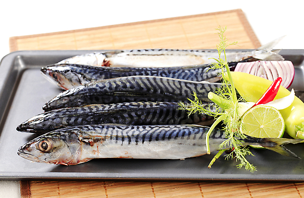 포토 JPG 해외이미지 어류 사람없음 신선 해산물 라임 고등어 성분 음식준비 회향 해외202004 해외202105 해외포토 식물 과일 수중동물 준비 파일형식