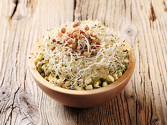 포토 JPG 해외이미지 식물 음식 콩 건강 사람없음 목재 새싹 샐러드 신선 사발 맥박 유기농 날것 반주 채식주의자 총각무 해외202004 해외202105 해외포토 나무 웰빙 재료 의학 곡류 사기그릇 무 채식 파일형식