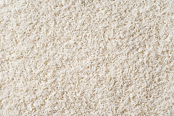 포토 JPG 해외이미지 음식 백그라운드 밥 반찬 건강 사람없음 낟알 묘사 유기농 날것 반주 생식 채식주의자 비건 해외202004 해외202105 해외포토 웰빙 채식 파일형식