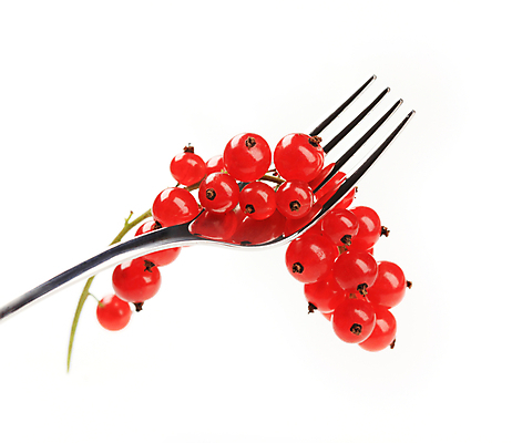 포토 JPG 해외이미지 스튜디오촬영 열매 음식 포크 과일 건강 사람없음 빨간색 나뭇가지 신선 오브젝트 흰배경 유기농 건포도 고립 숙성 해외202004 해외202105 해외포토 나무 식물 식기 웰빙 컬러 백그라운드 포도 실내 흰색 건과일 파일형식