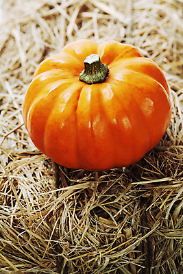 포토 JPG 해외이미지 호박 실내 사람없음 농작물 한개 수확 가을 볏짚 해외202004 해외포토 1 계절 농업 채소 내부 짚 파일형식