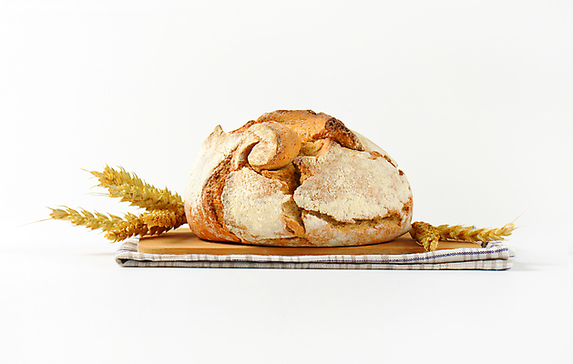 포토 JPG 해외이미지 스튜디오촬영 1 음식 빵 사람없음 껍질 신선 원형 밀 굽기 보리 귀 덩어리 호밀 해외202004 해외202105 해외포토 도형 곡류 실내 신체부위 구이 파일형식