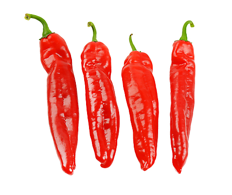 포토 JPG 해외이미지 고추 실내 사람없음 흰배경 해외202004 해외202105 해외포토 백그라운드 채소 내부 흰색 파일형식