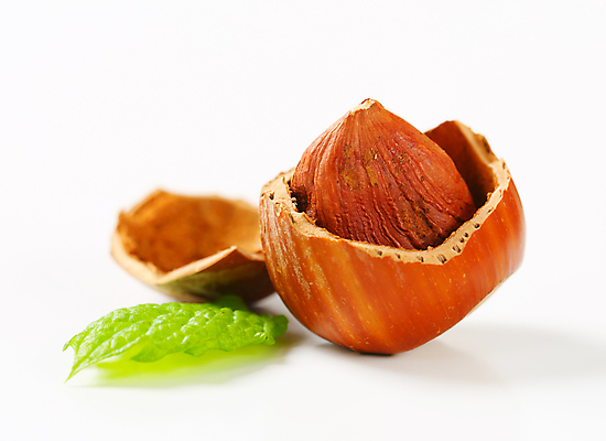 포토 JPG 해외이미지 실내 근접촬영 사람없음 껍질 민트 흰배경 헤이즐넛 해외202004 해외202105 해외포토 뷰포인트 백그라운드 내부 견과류 흰색 허브 파일형식