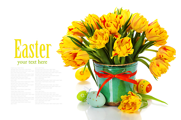 포토 JPG 해외이미지 리본 화분 꽃다발 부활절 실내 타이포그라피 사람없음 튤립 흰배경 부활절계란 카피스페이스 해외202004 해외포토 문자 기념일 꽃 백그라운드 내부 계란 공백 흰색 파일형식