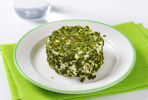 포토 JPG 해외이미지 스튜디오촬영 접시 음식 부분 치즈 건강 마늘 사람없음 초록색 허브 받침대 쪽파 핸드메이드 해외202004 해외202105 해외포토 식물 식기 컬러 채소 유제품 실내 파 파일형식