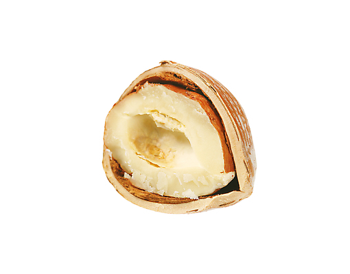 포토 JPG 해외이미지 단면 실내 사람없음 껍질 흰배경 반쪽 헤이즐넛 해외202004 해외202105 해외포토 백그라운드 내부 견과류 흰색 파일형식