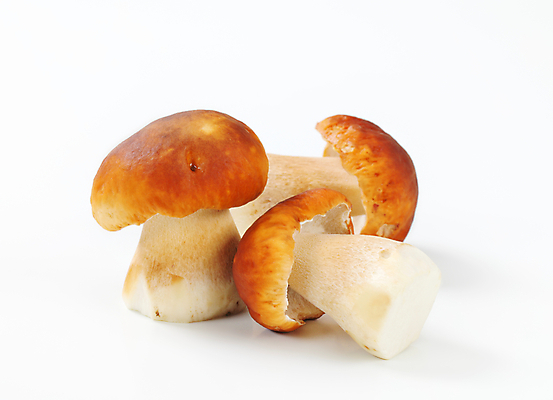 포토 JPG 해외이미지 스튜디오촬영 식재료 실내 사람없음 흰배경 그물버섯 해외202004 해외202105 해외포토 백그라운드 내부 버섯 흰색 파일형식