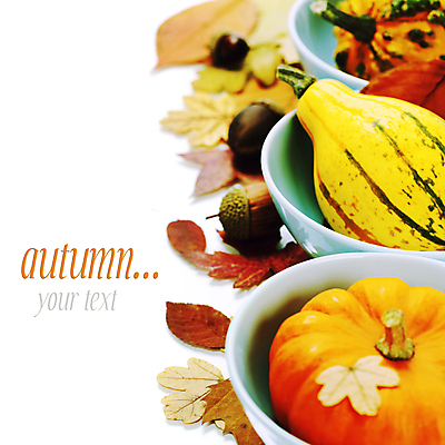 포토 JPG 해외이미지 그릇 낙엽 호박 실내 타이포그라피 사람없음 농작물 가을 흰배경 담기 도토리 카피스페이스 해외202004 해외포토 문자 식기 계절 백그라운드 잎 농업 채소 모션 내부 공백 견과류 흰색 파일형식