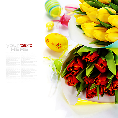 포토 JPG 해외이미지 리본 꽃다발 부활절 실내 타이포그라피 사람없음 튤립 흰배경 부활절계란 카피스페이스 해외202004 해외포토 문자 기념일 꽃 백그라운드 내부 계란 공백 흰색 파일형식