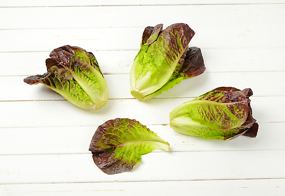 포토 JPG 해외이미지 스튜디오촬영 음식 잎 채소 재료 건강 사람없음 빨간색 초록색 샐러드 신선 상추 유기농 날것 머리위 국산 내추럴 숙성 로메인상추 해외202004 해외202105 해외포토 식물 웰빙 컬러 실내 파일형식