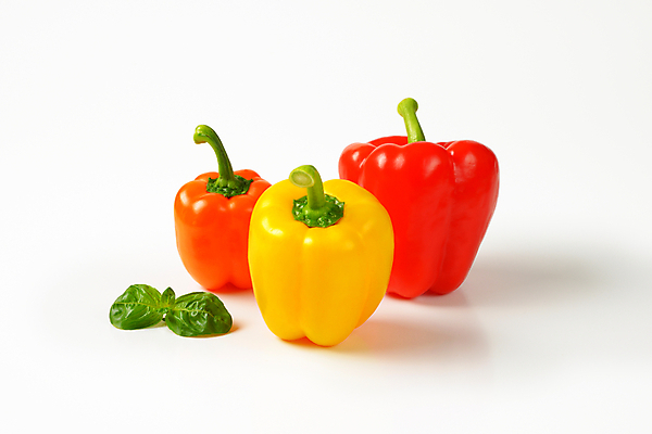 포토 JPG 해외이미지 파프리카 실내 사람없음 흰배경 바질 해외202004 해외202105 해외포토 백그라운드 채소 내부 흰색 파일형식