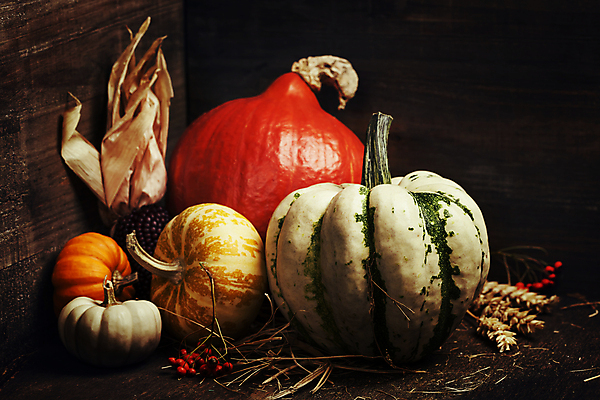 포토 JPG 해외이미지 열매 호박 검은배경 실내 사람없음 농작물 벼 가을 흑찰옥수수 해외202004 해외포토 식물 계절 백그라운드 농업 채소 곡류 내부 검은색 찰옥수수 파일형식