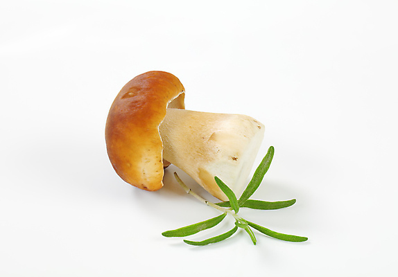 포토 JPG 해외이미지 스튜디오촬영 식재료 실내 사람없음 흰배경 로즈메리 그물버섯 해외202004 해외202105 해외포토 백그라운드 내부 버섯 흰색 허브 파일형식