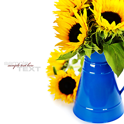 포토 JPG 해외이미지 해바라기 실내 사람없음 꽃병 해외202004 해외포토 꽃 내부 파일형식