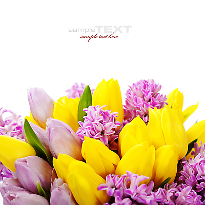 포토 JPG 해외이미지 꽃다발 봄꽃 실내 근접촬영 타이포그라피 사람없음 튤립 흰배경 히아신스 카피스페이스 해외202004 해외포토 문자 꽃 뷰포인트 백그라운드 내부 봄 공백 흰색 파일형식