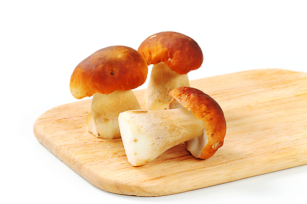 포토 JPG 해외이미지 스튜디오촬영 식재료 실내 사람없음 흰배경 그물버섯 나무도마 해외202004 해외202105 해외포토 백그라운드 도마 내부 목재 버섯 흰색 파일형식