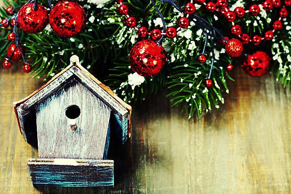 포토 JPG 해외이미지 크리스마스장식 크리스마스 사람없음 크리스마스트리 눈 새장 나무탁자 오너먼트 해외202004 해외포토 자연요소 기념일 탁자 날씨 케이지 파일형식