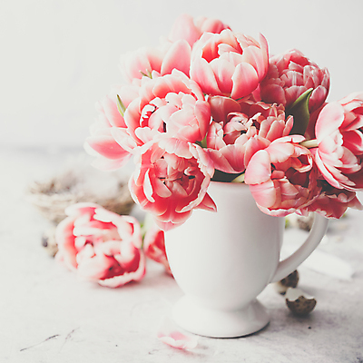 포토 JPG 해외이미지 꽃다발 부활절 실내 사람없음 아웃포커스 꽃병 튤립 흰배경 메추리알 알껍데기 해외202004 해외포토 기념일 꽃 백그라운드 촬영기법 내부 알 흰색 파일형식