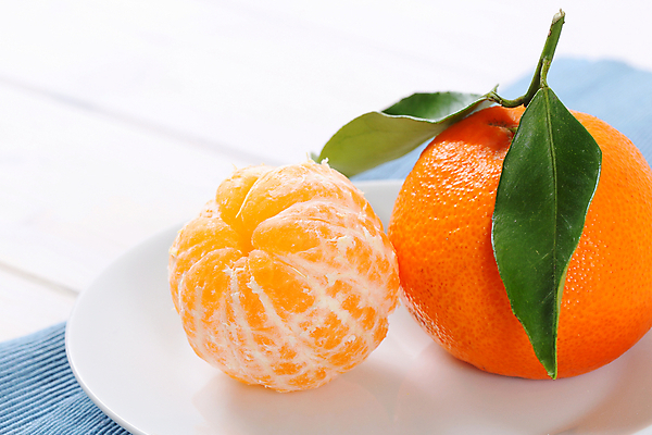 포토 JPG 해외이미지 스튜디오촬영 접시 잎 귤 사람없음 신선 흰배경 해외202004 해외202105 해외포토 식물 식기 백그라운드 과일 실내 흰색 파일형식