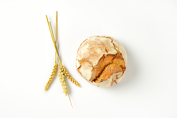 포토 JPG 해외이미지 스튜디오촬영 1 음식 빵 사람없음 껍질 신선 원형 밀 굽기 보리 귀 머리위 덩어리 호밀 해외202004 해외202105 해외포토 도형 곡류 실내 신체부위 구이 파일형식