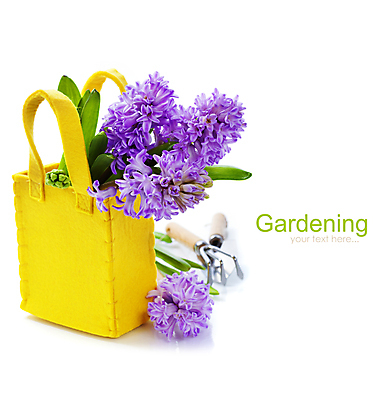 포토 JPG 해외이미지 가방 실내 사람없음 모종삽 흰배경 원예 갈퀴 히아신스 해외202004 해외포토 잡화 꽃 백그라운드 취미 내부 흰색 삽 파일형식