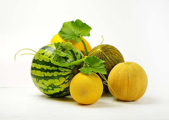 포토 JPG 해외이미지 스튜디오촬영 음식 과일 수박 종류 3 사람없음 초록색 노란색 여러개 신선 열대과일 날것 숙성 해외202004 해외202105 해외포토 컬러 다수 실내 파일형식