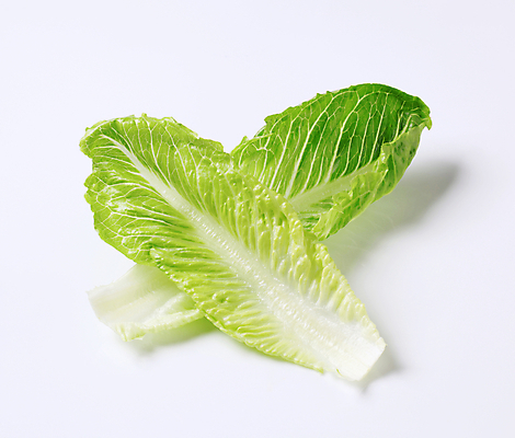 포토 JPG 해외이미지 음식 잎 재료 건강 사람없음 초록색 샐러드 상추 날것 로메인상추 해외202004 해외202105 해외포토 식물 컬러 채소 파일형식
