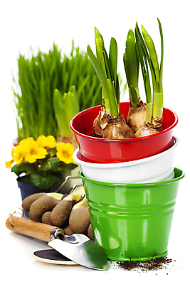 포토 JPG 해외이미지 식물 화분 장갑 실내 사람없음 모종삽 흰배경 원예 수선화 해외202004 해외포토 잡화 꽃 백그라운드 취미 내부 흰색 삽 파일형식