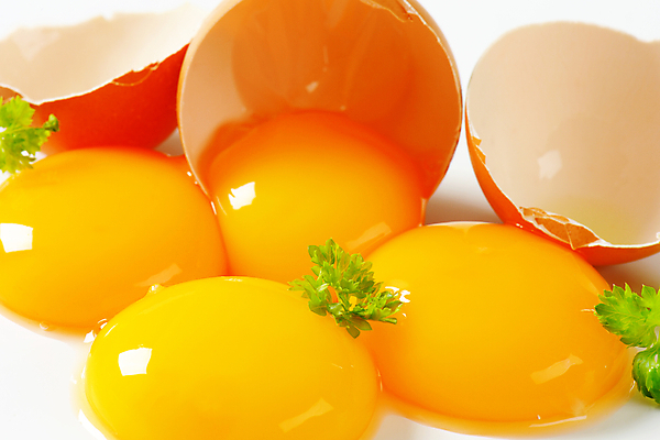 포토 JPG 해외이미지 스튜디오촬영 음식 재료 사람없음 계란 신선 흰배경 유기농 날것 노른자 깨짐 생식 해외202004 해외202105 해외포토 웰빙 백그라운드 컨셉 실내 알 흰색 파일형식