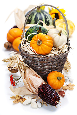 포토 JPG 해외이미지 낙엽 호박 실내 사람없음 농작물 바구니 벼 가을 흰배경 호두 추수감사절 흑찰옥수수 해외202004 해외포토 계절 기독교 백그라운드 잎 농업 채소 곡류 내부 견과류 흰색 찰옥수수 파일형식