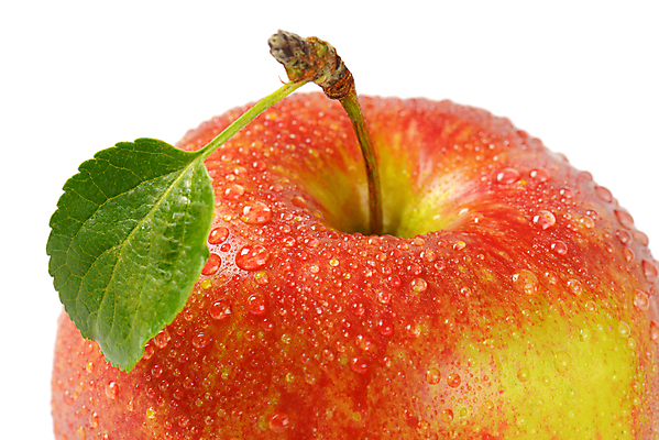 포토 JPG 해외이미지 스튜디오촬영 무료이미지 1 음식 과일 사람없음 빨간색 젖음 물방울 신선 사과 싱글 흰배경 유기농 날것 숙성 해외202004 해외202105 해외포토 웰빙 컬러 백그라운드 실내 흰색 파일형식
