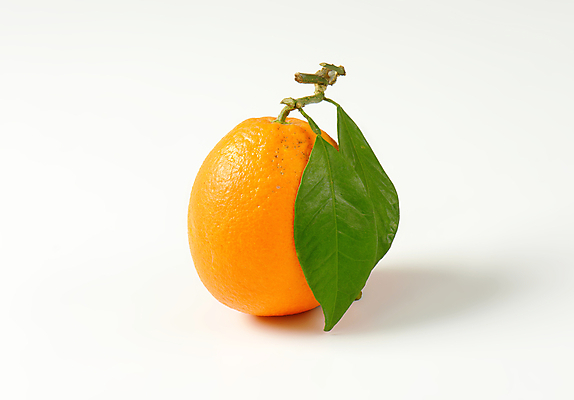 포토 JPG 해외이미지 스튜디오촬영 잎 오렌지 사람없음 신선 흰배경 해외202004 해외202105 해외포토 식물 백그라운드 과일 실내 흰색 파일형식