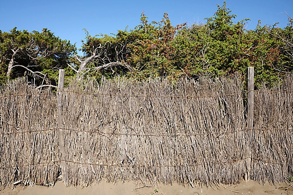 포토 JPG 해외이미지 나무 벽 건조 사람없음 야외 목재 울타리 맑음 나뭇가지 막대기 조경 펜싱 나누기 내추럴 볏집 해외202004 해외202105 해외포토 식물 스포츠 재료 날씨 담장 수학 사칙연산 파일형식