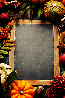 포토 JPG 해외이미지 열매 낙엽 호박 실내 사람없음 농작물 칠판 가을 도토리 추수감사절 카피스페이스 해외202004 해외포토 식물 계절 기독교 잎 농업 채소 내부 공백 견과류 파일형식