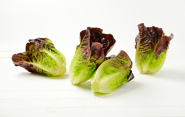 포토 JPG 해외이미지 스튜디오촬영 음식 잎 채소 재료 건강 사람없음 빨간색 초록색 샐러드 신선 4 상추 유기농 날것 국산 내추럴 숙성 로메인상추 해외202004 해외202105 해외포토 식물 웰빙 컬러 실내 숫자 파일형식