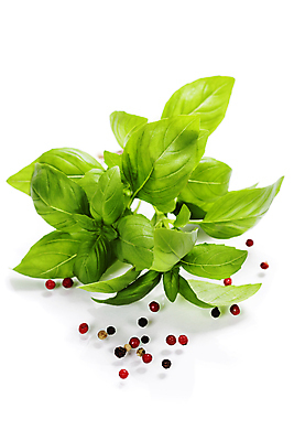 포토 JPG 해외이미지 채소 실내 사람없음 흰배경 채식 바질 통후추 해외202004 해외포토 백그라운드 내부 흰색 후추 파일형식