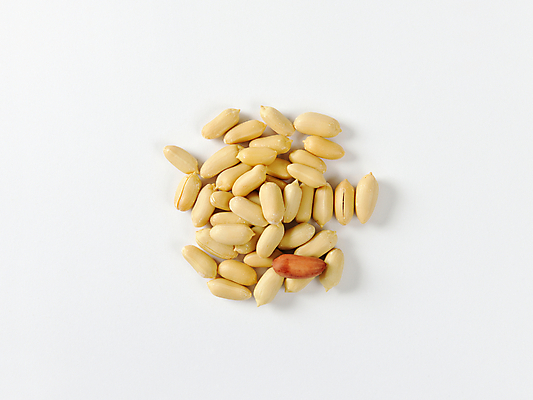 포토 JPG 해외이미지 실내 사람없음 여러개 흰배경 땅콩 해외202004 해외202105 해외포토 다수 백그라운드 내부 견과류 흰색 파일형식