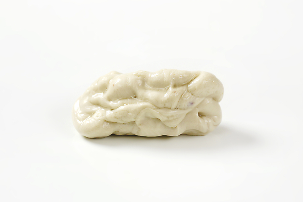 포토 JPG 해외이미지 스튜디오촬영 음식 재료 사람없음 신선 날것 반죽 생식 음식준비 이스트 해외202004 해외202105 해외포토 실내 준비 파일형식