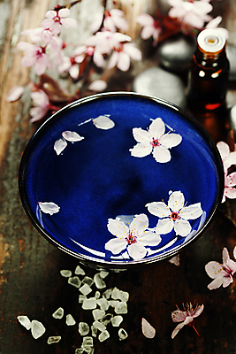 포토 JPG 해외이미지 실내 사람없음 물 벚꽃 사발 나무바닥 스파용품 아로마테라피 스톤 아로마오일 입욕소금 해외202004 해외포토 자연요소 꽃 바닥 내부 스파 미용용품 사기그릇 오일_화장품 오브젝트 소금 테라피 파일형식