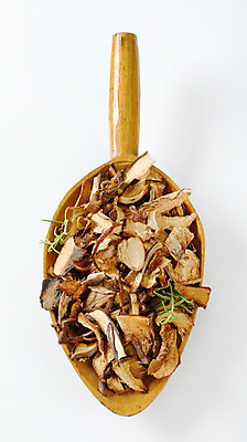 포토 JPG 해외이미지 스튜디오촬영 식재료 건조 실내 사람없음 버섯 가득함 흰배경 로즈메리 나무주걱 해외202004 해외202105 해외포토 백그라운드 내부 목재 흰색 허브 주걱 파일형식