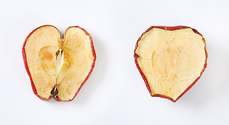 포토 JPG 해외이미지 조각 사람없음 하이앵글 사과 민트 흰배경 건과일 해외202004 해외202105 해외포토 뷰포인트 백그라운드 과일 건조 흰색 허브 파일형식