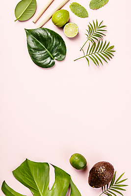 포토 JPG 해외이미지 사람없음 라임 아보카도 몬스테라 열대잎 카피스페이스 분홍색배경 해외202004 해외포토 식물 분홍색 백그라운드 잎 과일 공백 파일형식