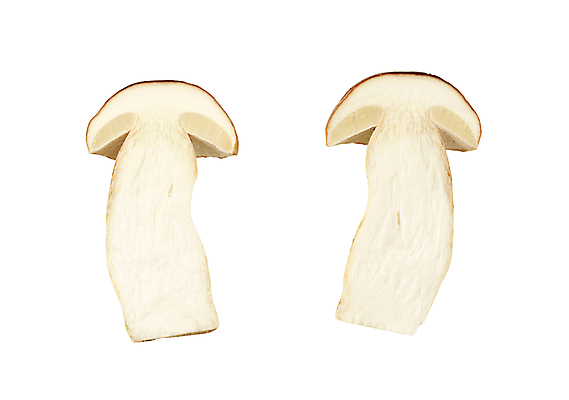 포토 JPG 해외이미지 식재료 단면 실내 사람없음 흰배경 그물버섯 해외202004 해외202105 해외포토 백그라운드 내부 버섯 흰색 파일형식