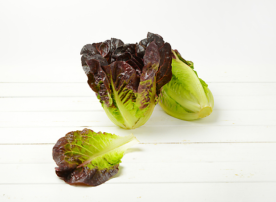 포토 JPG 해외이미지 스튜디오촬영 음식 잎 채소 재료 건강 사람없음 빨간색 초록색 샐러드 신선 상추 유기농 날것 국산 내추럴 숙성 로메인상추 해외202004 해외202105 해외포토 식물 웰빙 컬러 실내 파일형식