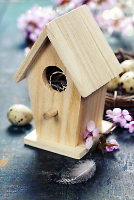 포토 JPG 해외이미지 부활절 사람없음 아웃포커스 벚꽃 둥지 깃털 새장 메추리알 나무탁자 해외202004 해외포토 기념일 꽃 탁자 촬영기법 알 케이지 파일형식