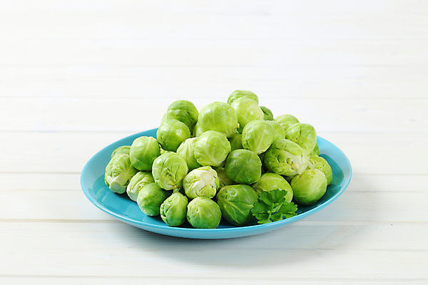 포토 JPG 해외이미지 스튜디오촬영 접시 음식 채소 재료 부분 건강 사람없음 초록색 파란색 쌓기 새싹 신선 그룹 흰배경 유기농 양배추 날것 흙더미 생식 숙성 터키석 해외202004 해외202105 해외포토 식물 식기 웰빙 컬러 백그라운드 모션 실내 흙 흰색 보석 파일형식 더미