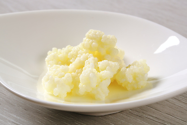 포토 JPG 해외이미지 건강 사람없음 버섯 사발 유기농 발효 요거트 곰팡이 이스트 해외202004 해외202105 해외포토 웰빙 유제품 사기그릇 파일형식