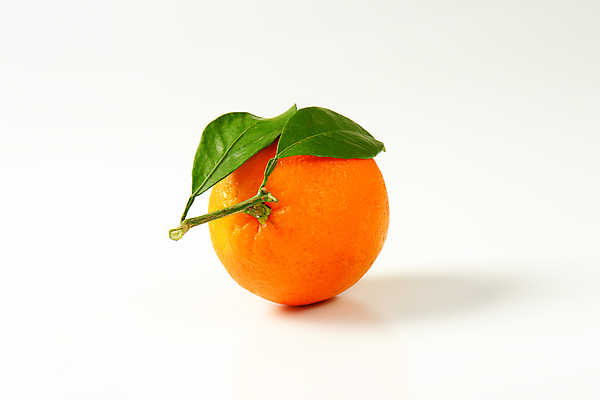 포토 JPG 해외이미지 스튜디오촬영 잎 오렌지 사람없음 신선 흰배경 해외202004 해외202105 해외포토 식물 백그라운드 과일 실내 흰색 파일형식